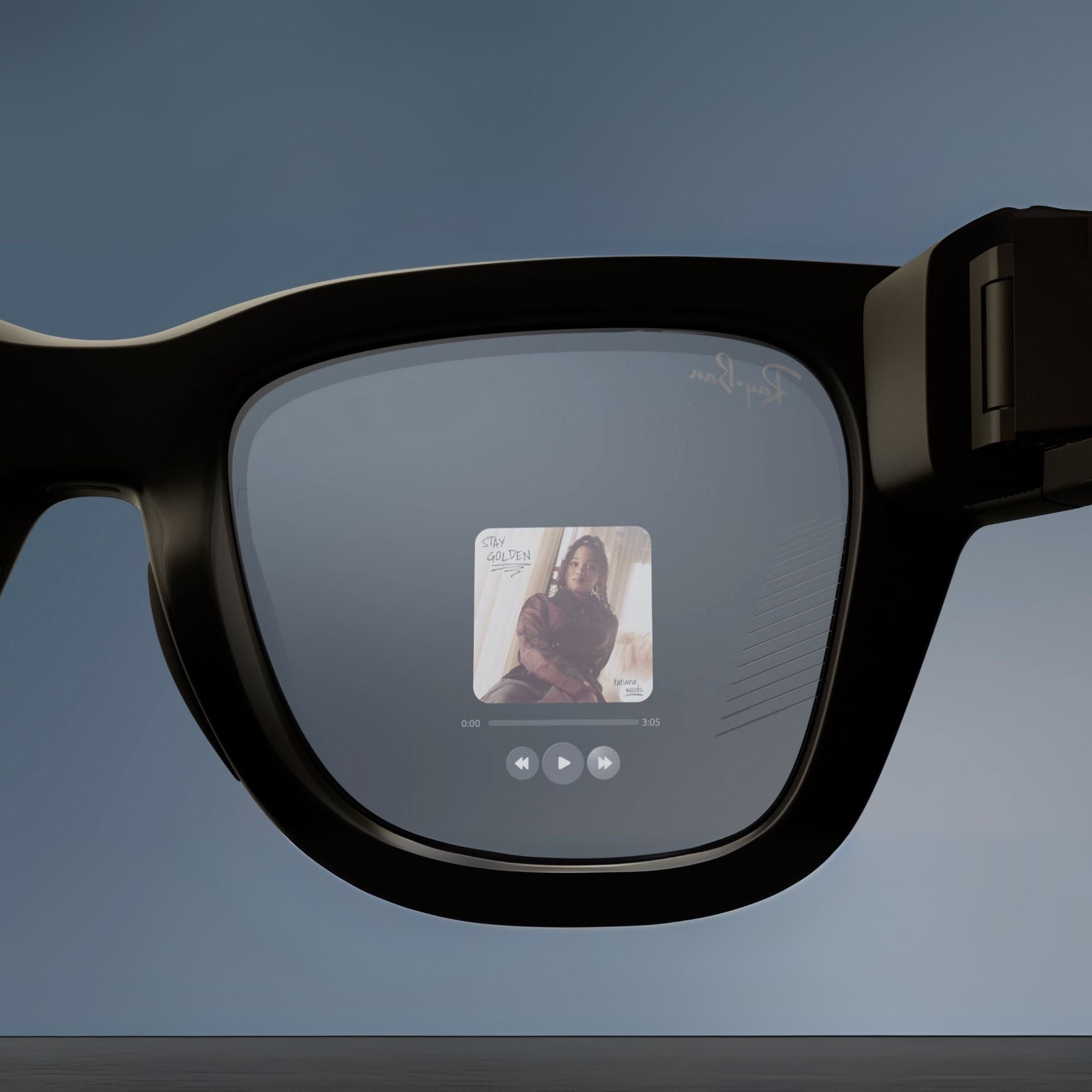Meta Ray-Ban Display